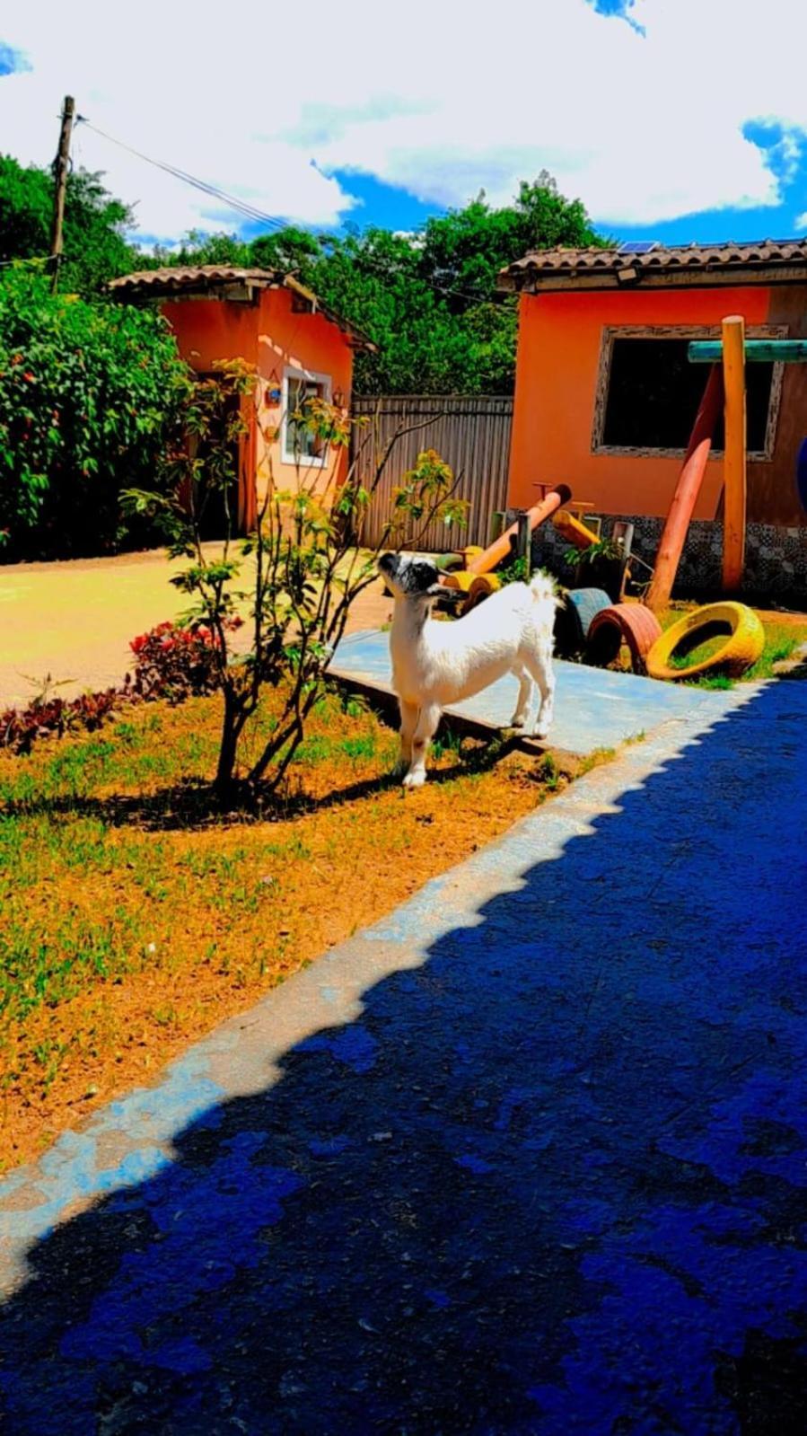 Chale Cantao De Itamambuca Ubatuba Zewnętrze zdjęcie